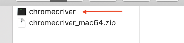Download Chromedriver For Mac 64 Bit